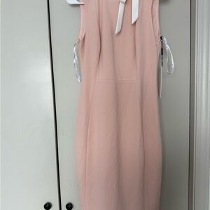 Calvin Klein Soft Pink Dress
